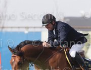 Le Jeune Farouk TosTour 2013- S5 3279 : Arezzo Equestrian Centre, Farouk de la Pomme, Le Jeune Philippe, Toscana Tour 2013, foto di Stefano Secchi ©